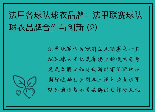 法甲各球队球衣品牌：法甲联赛球队球衣品牌合作与创新 (2)